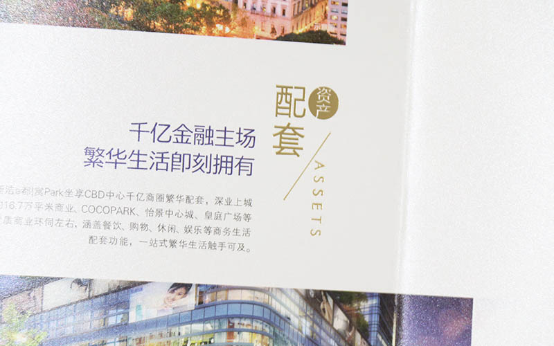 樓書印刷,地產(chǎn)畫冊印刷,地產(chǎn)彩頁印刷